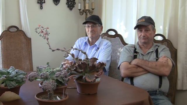 Echeveria Expert Part 3, Dick Wright on How to Grow Echeverias смотреть онлайн