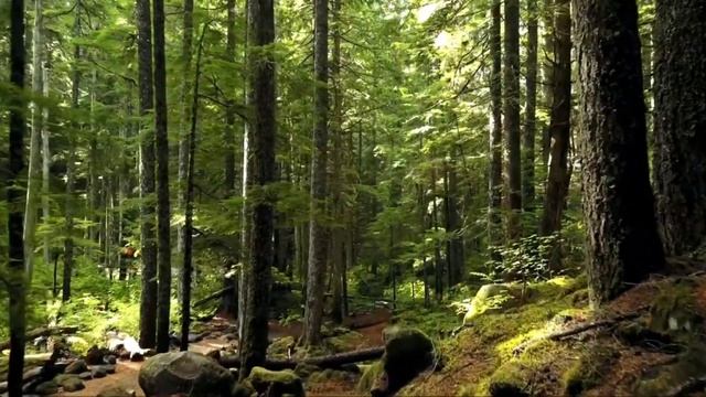 Гарри Поттер и Философский камень смотреть онлайн