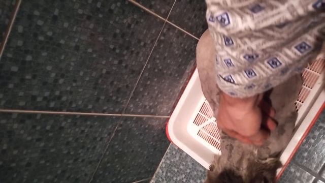 Глажу Марусю, а она не реагирует. I stroke Marusya, she does not react смотреть онлайн