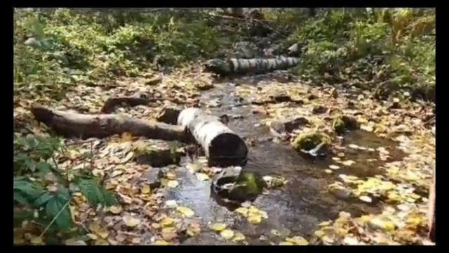 МАОУ СШ № 90.  Марафон Здоровья 2023