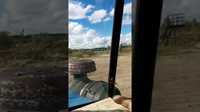 Большая оса Приобская в гостях . смотреть онлайн