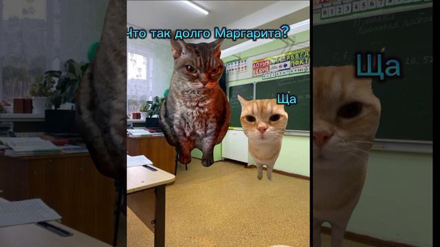 Я когда меня вызывают к доске смотреть онлайн