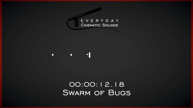 Large Swarm of Insects | HQ Sound Effect смотреть онлайн