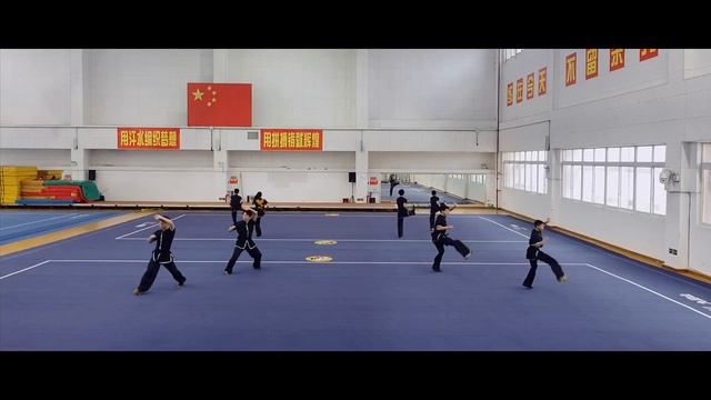 [2020] Chongqing Wushu Team - Basics Group Set - China National Wushu Taolu Competition смотреть онлайн