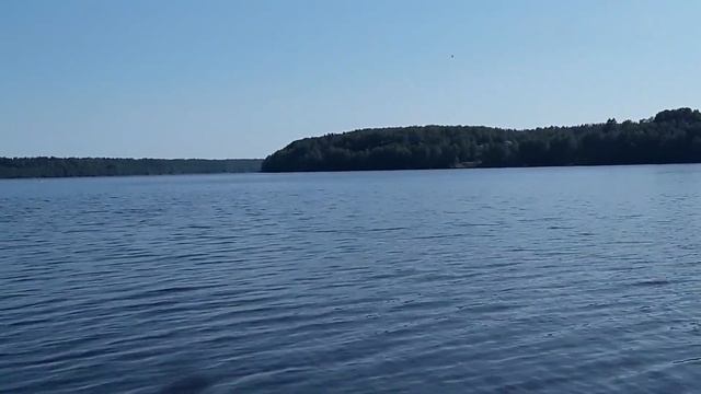 Неизведанной тропой к озеру Правдинское. Ленинградская обл. смотреть онлайн