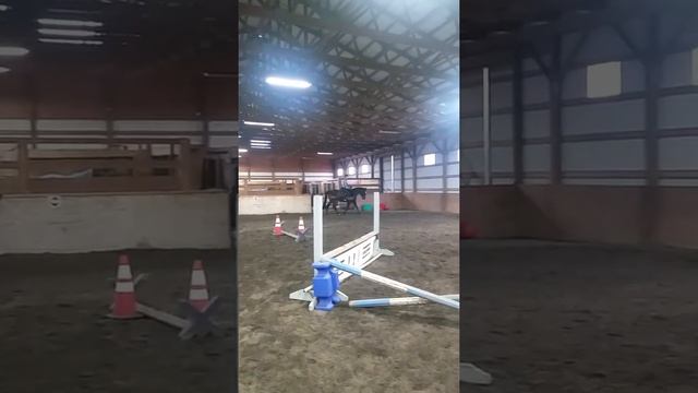 Shooter Blue Moon Stables смотреть онлайн