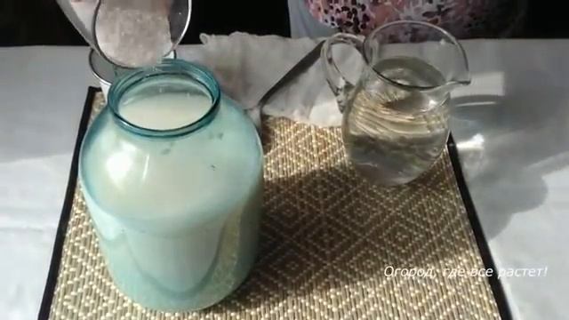 Дрожжевая подкормка творит чудеса.mp4 смотреть онлайн