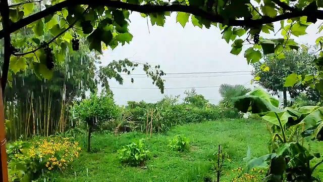 ???УСТАЮ ! ??? смотреть онлайн