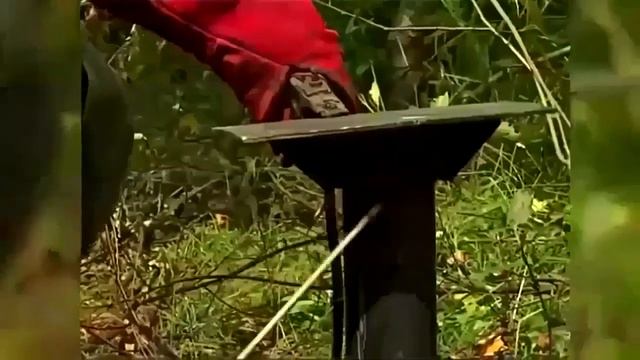 капсульные отели на винтовых сваях смотреть онлайн