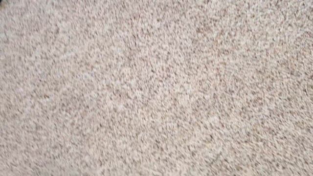 Bissell Powerglide Pet, Cleaning some dirty carpet? смотреть онлайн