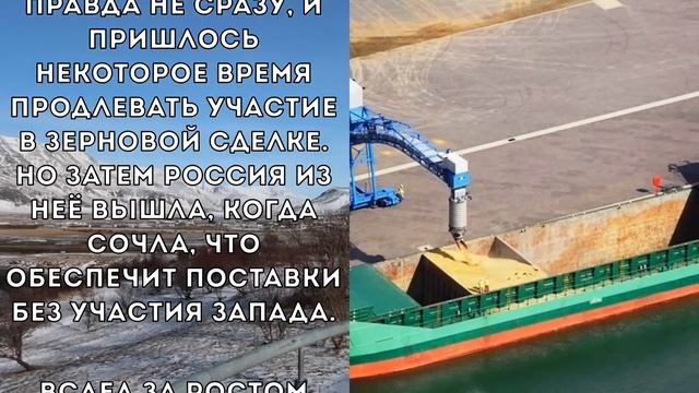 15 минут назад Россия Дерзко Отказала экспортировать некоторые сорты пшеницы и думает только о себе