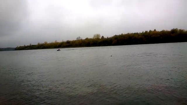 ветерок 8+Latimeria 280 смотреть онлайн