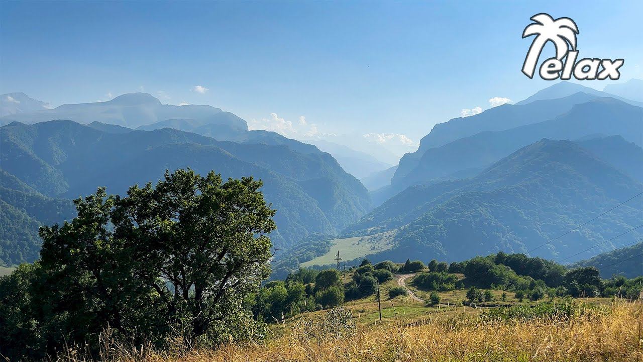 Crickets Chirping And Birds Singing, Wind Noise - 6 Hours Of Rest In The Mountain Nature