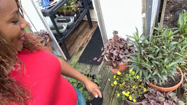 Raised Bed Garden Tour Fall/Winter Garden 2022 смотреть онлайн