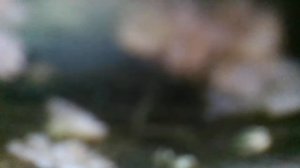 Море волнуется раз. Детские игры для нас. Что-то приходит, что-то уходит, что-то останется(наброски