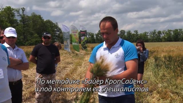 КФХ Колесниковых: Презентация