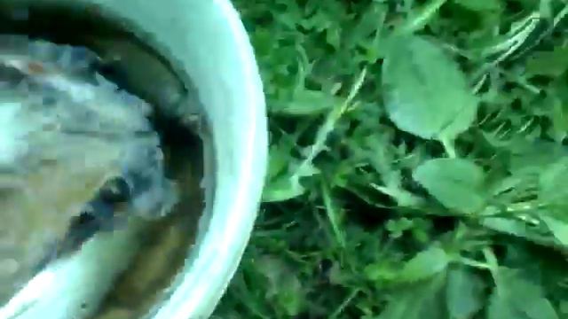 Рыбалка на реке каме смотреть онлайн