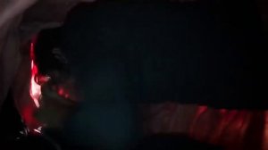 Прикол из фильма (братья из гримсби) Слоны