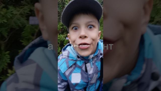 бебра смотреть онлайн