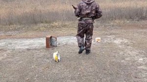 ТОЗ - 106 и дымарь!