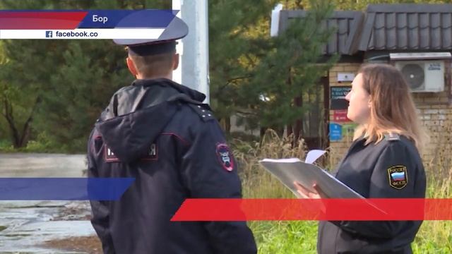 Выполнено благоустройство пришкольной территории в городе Бор смотреть онлайн