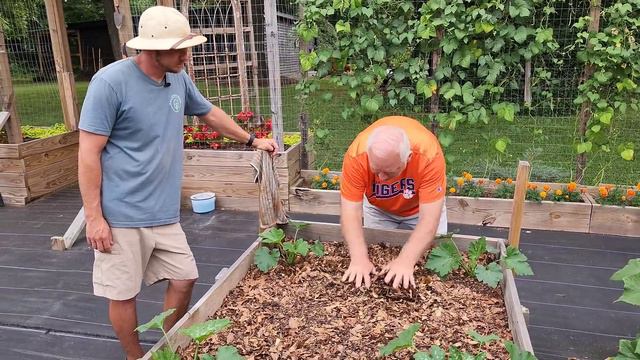 Breathtaking Garden Tour |Learn the Secrets From an Expert Gardener!| смотреть онлайн