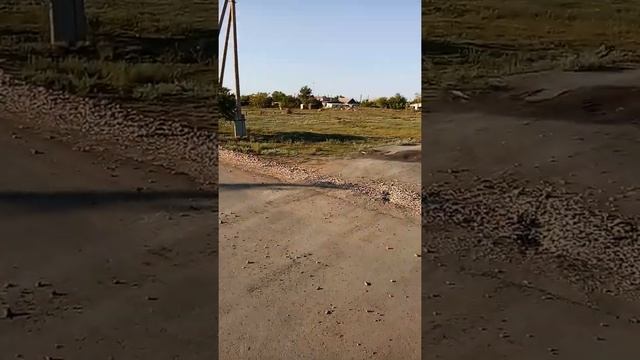 село Чкалово, Казахстан, СКО, Тайыншинский район, Положили асфальт там где его никогда не было! смотреть онлайн