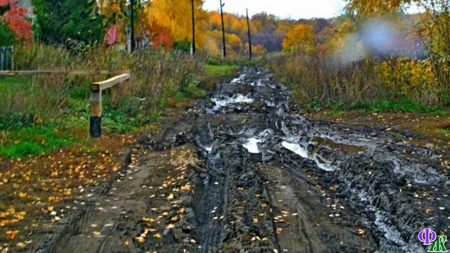 «На ботинках принёс» Хозяин дачи на ночь оставил обувь на веранде. А утром обнаружил спящих котят.. смотреть онлайн