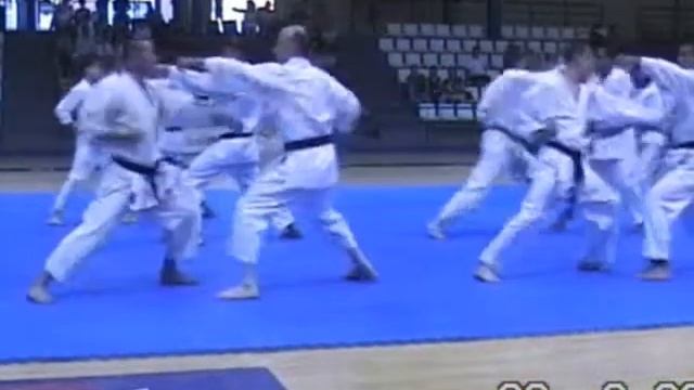 30 Aniversario Karate-Do.wmv