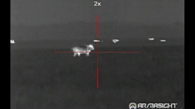 93 Hogs Down: Night hunting with the Armasight Zeus Pro 640 50mm Thermal Scope смотреть онлайн