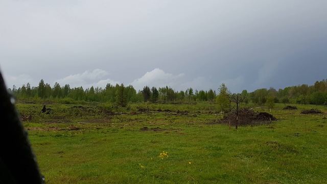 Гроза. Звуки дождя. Для тех, кто хочет расслабиться под шум дождя - Distant thunderstorm in a fores смотреть онлайн