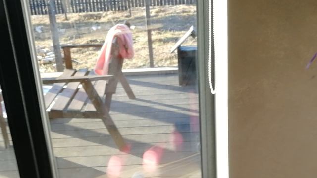 VID_20230419_074251.mp4 смотреть онлайн