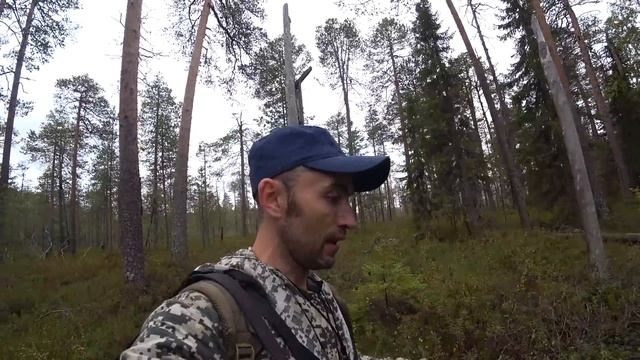ГЛУХАРЬ вычислил меня. Охота на боровую ДИЧЬ(домой с добычей)
