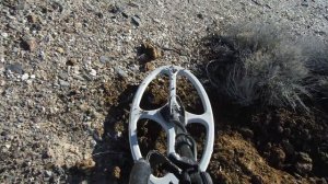 Minelab Metal detecting GPX 4500 gold nuggets with Road Dog 2015 #4