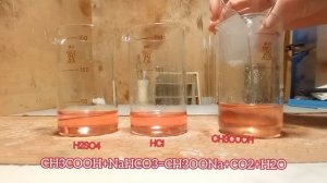 Гидрокарбонат натрия,пищевая сода. Свойства,эксперементы