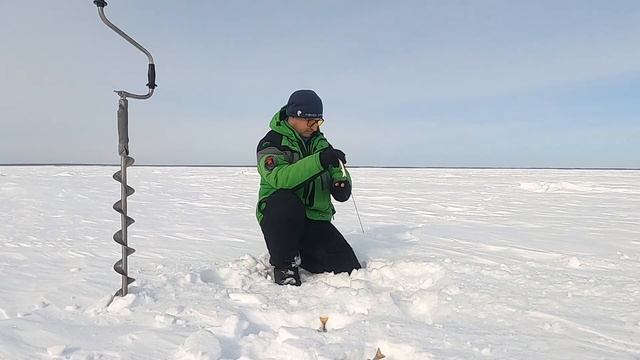 Зимняя блесна, тренировка. смотреть онлайн