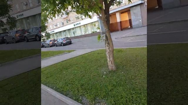 Ленинский проспект, Москва, остановка 29 мая 2018 г. смотреть онлайн