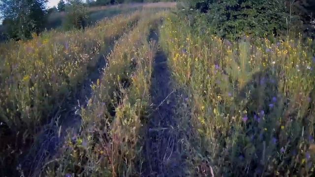 ? Рыбалка с самодельной удочкой смотреть онлайн