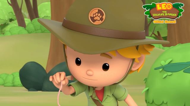 Kiwi | What Is The Kiwi Looking For? | Leo The Wildlife Ranger | Animation For Kids