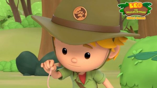 Kiwi | What is the kiwi looking for? | Leo the Wildlife Ranger | Animation for Kids