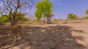 Топ VR-видео (360 градусов). 1 часть