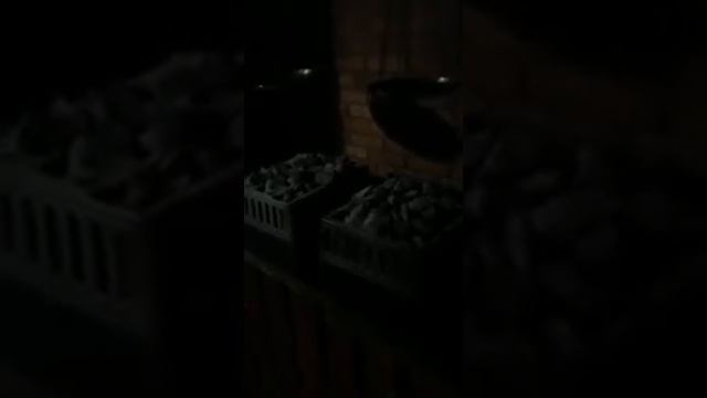 сауна в отеле Клязьма смотреть онлайн
