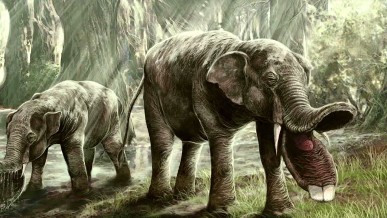 УДИВИТЕЛЬНЫЕ ВЫМЕРШИЕ ЖИВОТНЫЕ смотреть онлайн