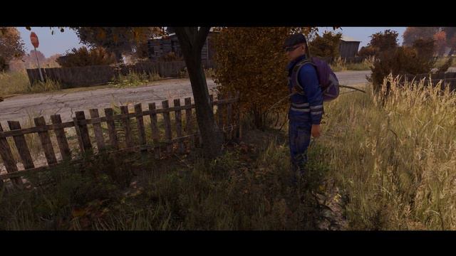 HARSH WORLD - DayZ Standalone смотреть онлайн