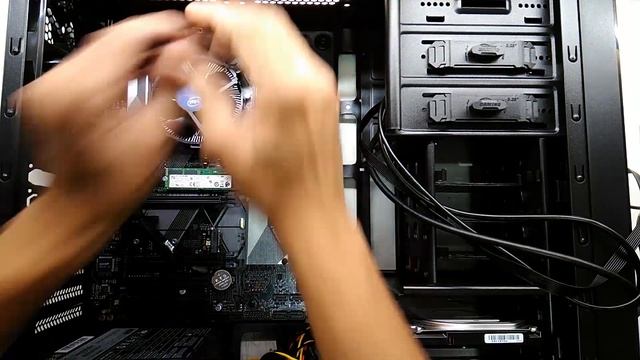 intel Core i3-8100 ASUS PRIME H370 PLUS intel SSD5 3D NAND смотреть онлайн