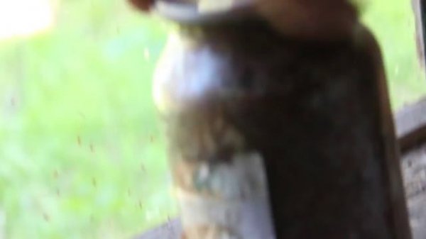 ТАКИХ НАХОДОК В ЛЕСУ ЕЩЕ НИКТО НЕ ВИДЕЛ! АБВГАТ.