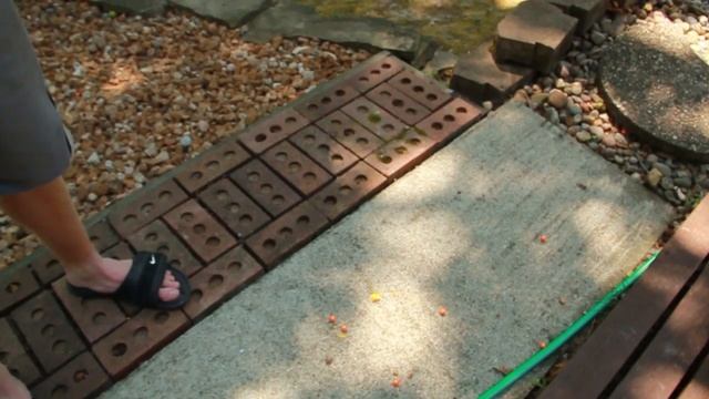 Z200 SplatMaster Review смотреть онлайн