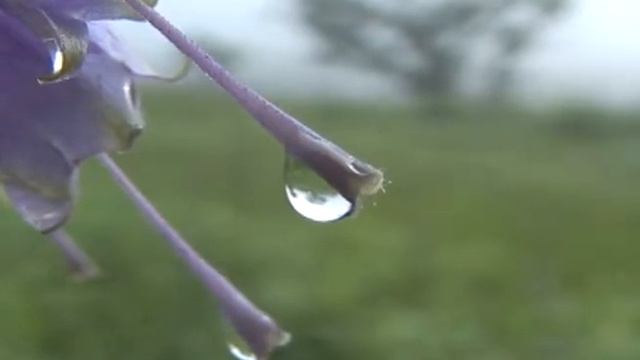 World inside drop 7 - Мир в капле 7 смотреть онлайн