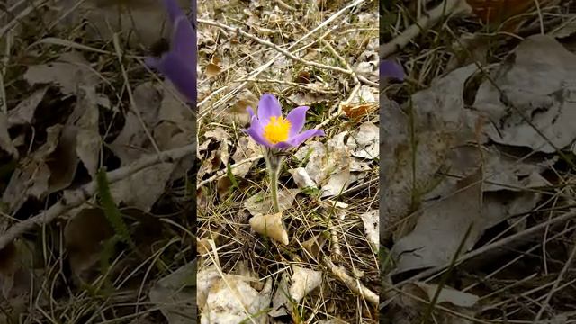 Один за то первый!! смотреть онлайн