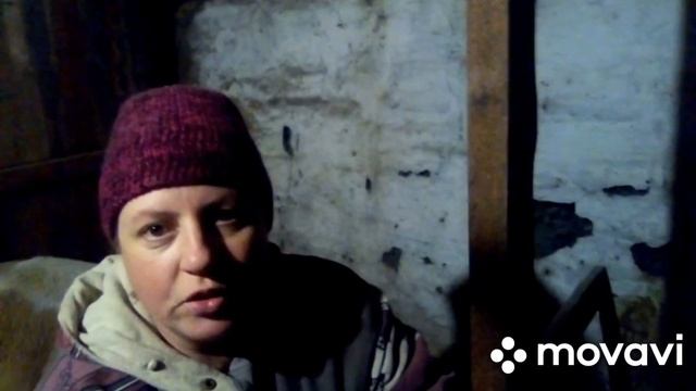 Корова после отела. Глистогонка, есть ли отек и прочие моменты смотреть онлайн